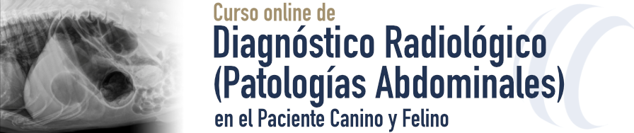 Cabecera_corta_RX_ABDOMINALES